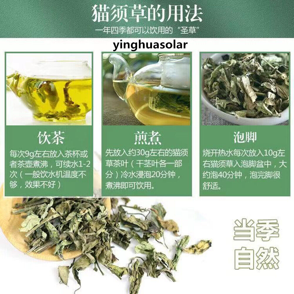 HERBA CLERODENDRANTHI 猫须草前列腺炎增生500g Clerodendranthus Spicatus 野生特级肾茶排肾结石膀胱结石尿道结石