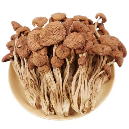 Natural Tea Tree Mushrooms agrocybe cylindracea Dried Mushrooms Kitchen Food