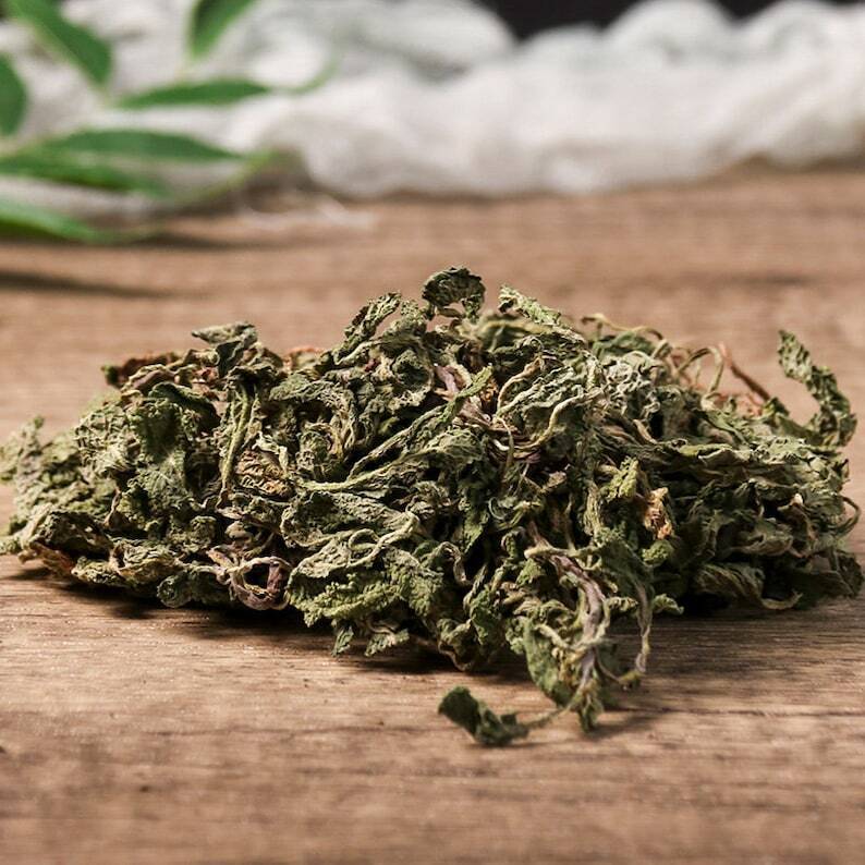 Organic Herbal Common Sage Herb Saluia Plebeia R. Br. Great Quality