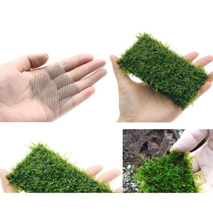 Aquarium Accessories Sponge Stainless Steel Net Mesh Pad DIY Fish Tank Moss Tree