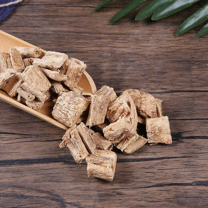 Herbal Twig of Common Claoxylon Diulebang Claoxylon Indicum Great Quality