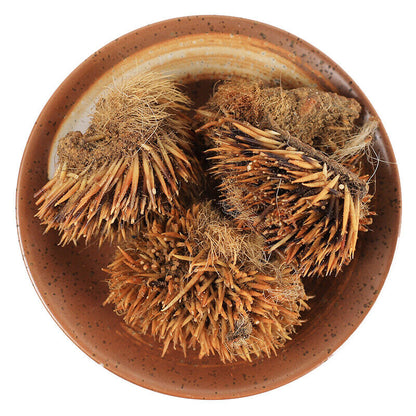 50g 100% Chinese Ciweipi Healthy Care Top-grade Authentic Hedgehog Skin 正品刺猬皮