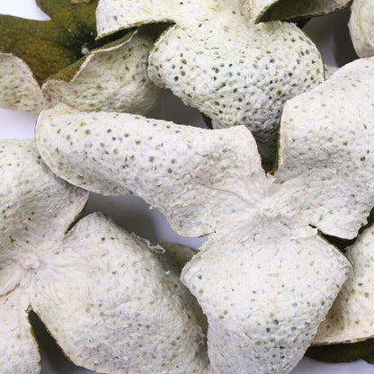 2022 Chinese Green XinHui "Chen Pi" Dried Tangerine Peel Orange Peel Tea 50g