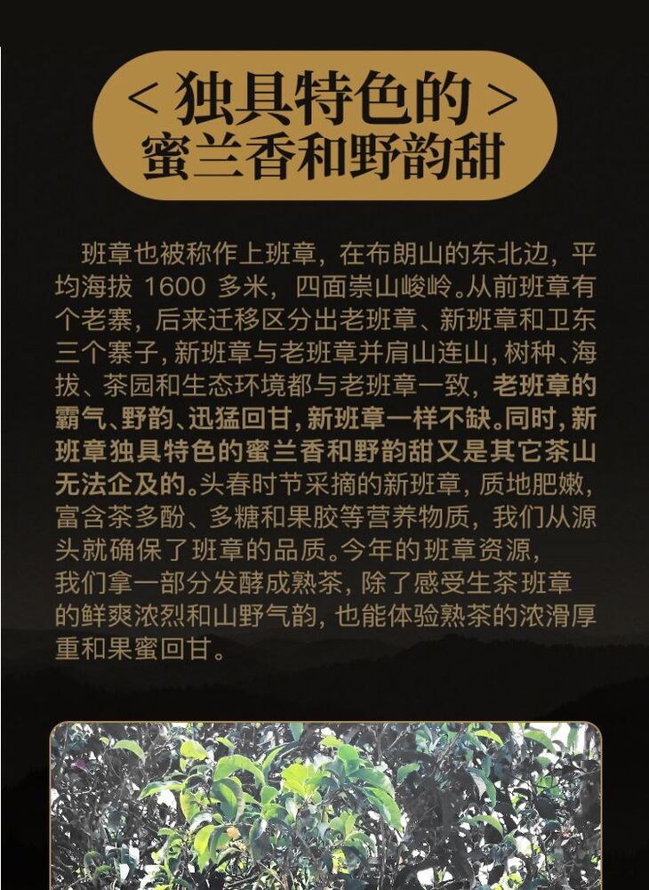 500g Banzhang Square Brick Pu-erh Raw Tea 正宗《班章方砖》云南普洱生茶2021年头春茶大树古树生普 500g