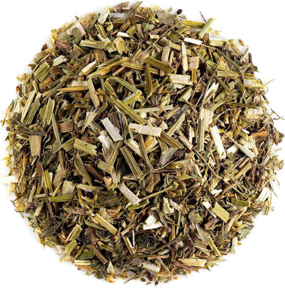 Melilot Organic Herb Sweet Clover - Kumoniga - Melilotus officinalis