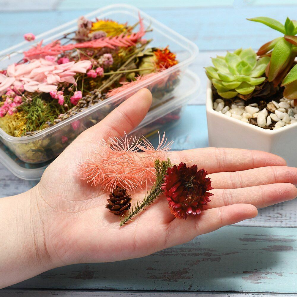 1 Box Random Real Dried Flower Resin Mold Fillings Jewelry Making Craft Supplies
