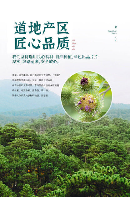 南京同仁堂牛蒡根 Burdock Root 原色原味 道地产区 匠心品质 清热解毒、消肿止痛、助排便