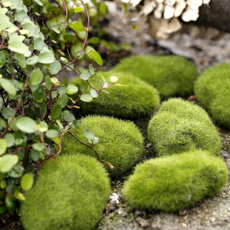 Ant Farm Decoration Artificial Mini Moss Stones Micro-Landscape Decor 3 6 8 10cm