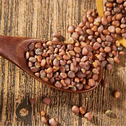 100% Natural Lai FU zi Radish Seeds Dried Herbs Herbal