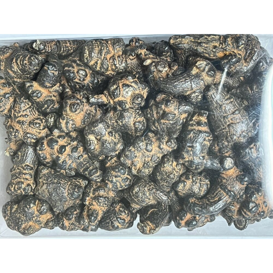 good quality and price 500g Black Radix Pseudoginseng 黑田七頭