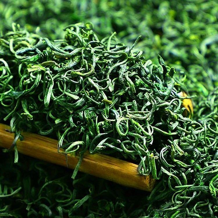 250g 2023 Yunwu Maojian Green Loose Leaf High Mountain Tea Green