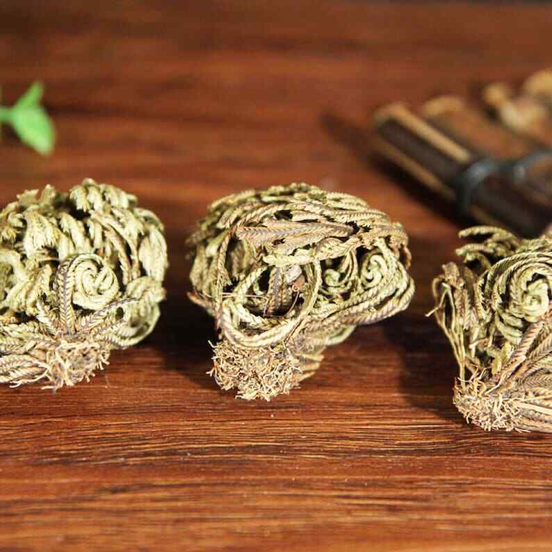 Organic Herbal Selaginellae Tamariskoid Spikemoss Herb Great Quality