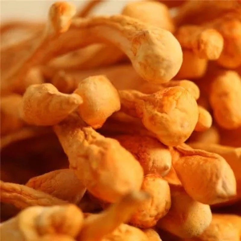 250g Chinese Tradition Organic Cordyceps Sinensis Dried Mushroom