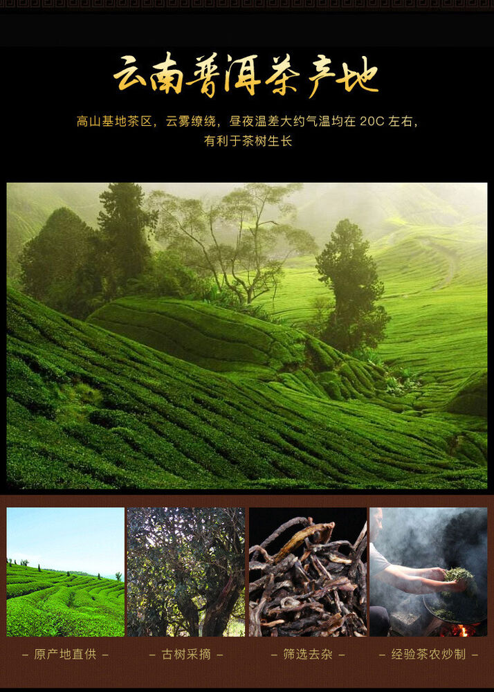 Yunnan Pu'er Tea Cake Tea Raw Tea Cake Yiwushan Pu'er Tea 100g Small Cake