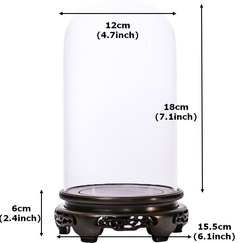 New Glass Display Dome Ebony Wood Base Case Cloche Globe Cover Protection Decor