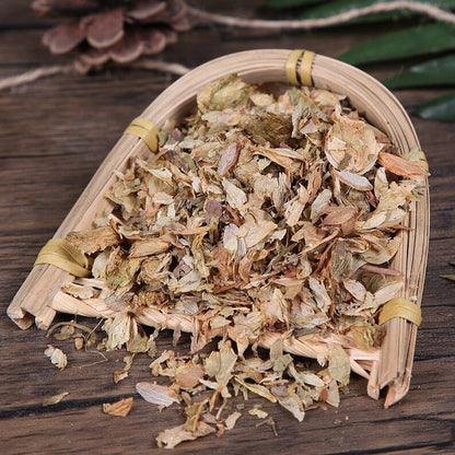 Organic Herbal Flos Humuli Lupuli European Hop Flower Pi Jiu Hua Great Quality