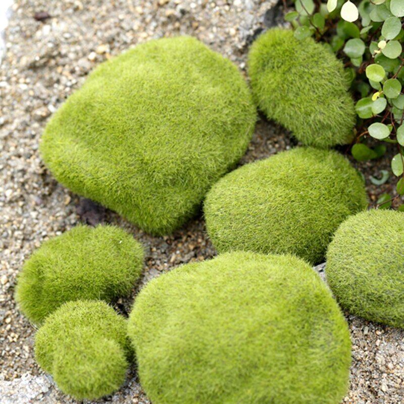 Ant Farm Decoration Artificial Mini Moss Stones Micro-Landscape Decor 3 6 8 10cm