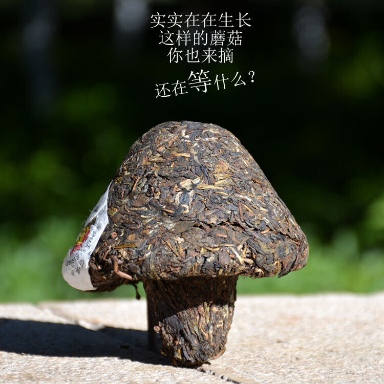 2016 Xiaguan Baoyan Yunnan Jin Cha XY Special Yunnan Pu'er Tuocha Raw Tea 250g