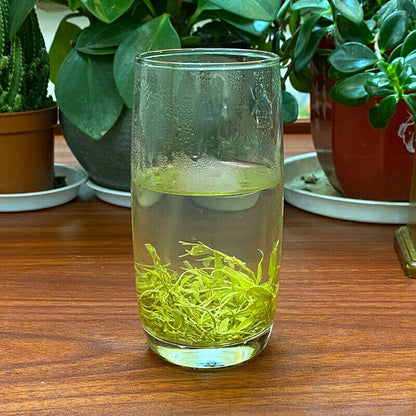 Selected Zhangjiajie Berry Tea 张家界莓茶罐装土家茅岩霉茶芽尖藤茶龙须梅茶嫩芽50g