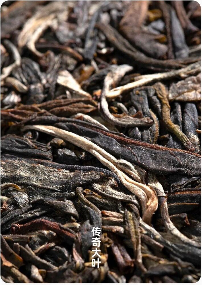 2023 pu erh LAO TONG ZH DA YE DONG FANG RAW Puerh Tee Puer big leaf Tea 普洱茶,357g