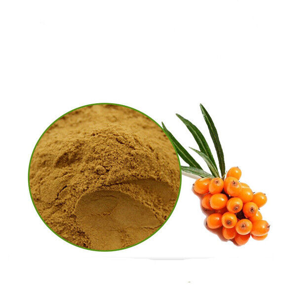 Sea buckthorn Fruit Extract 30:1 Powder Pure High Quality Extract Powder