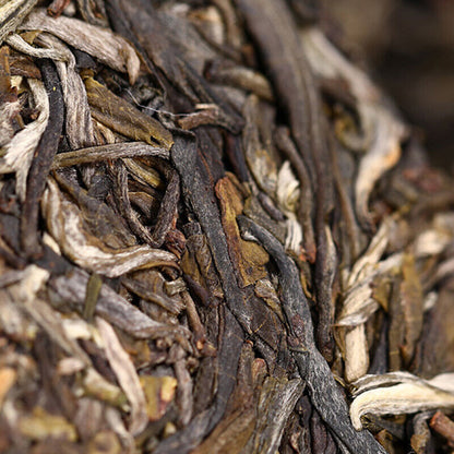 2021 Haiwan Zhang Jia San Dui Puer Raw Tea Bulang Famous Mountain Aged Tree 500g