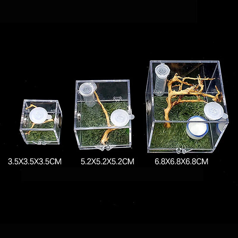 Ant Farms 3Pc Acrylic Clear Spider Insect Breathable Terrarium Reptile Breed Box