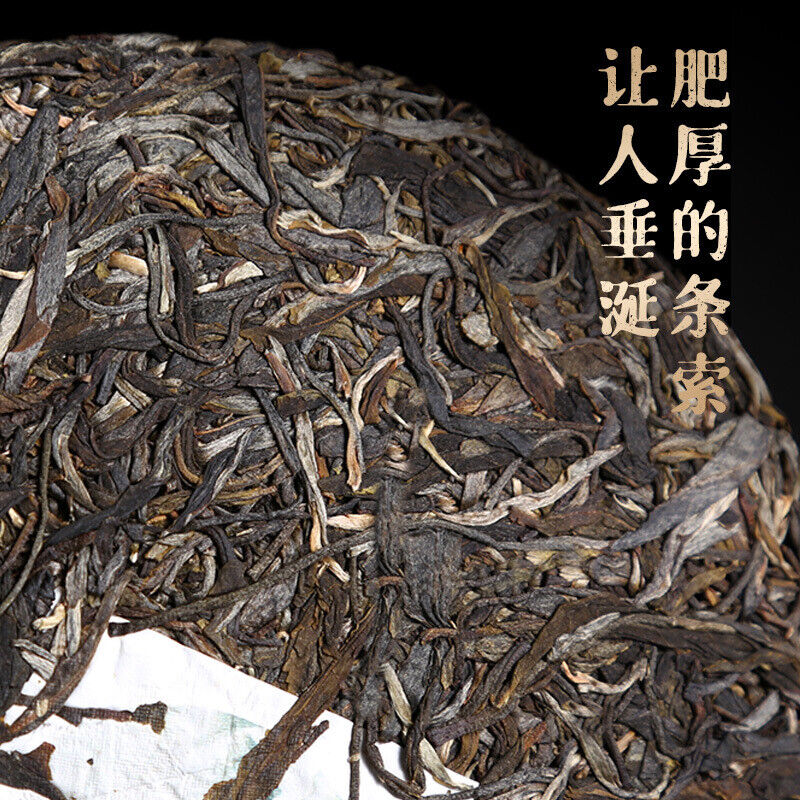 Touchun Yunnan Pu'er Tea Raw Tea Cake Old Banzhang Aged Puerh 357g Cake Tea