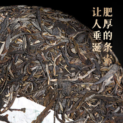 Touchun Yunnan Pu'er Tea Raw Tea Cake Old Banzhang Aged Puerh 357g Cake Tea
