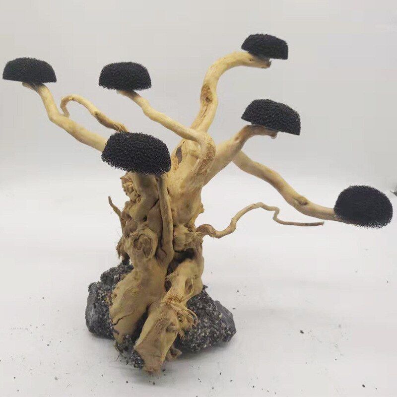 Aquarium Decoration Driftwood Tree Fish Tank Landscaping Wood Plant Root 21-25cm