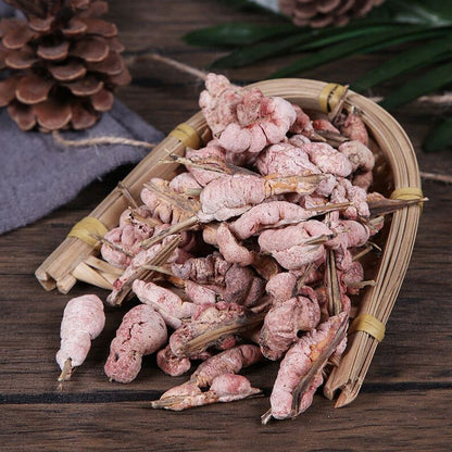 Recommend Dried Herb of Tabasheer Premium Shiraia Bambusicola Zhu Huanɡ Healthy