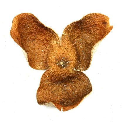 2020 XinHui Chen Pi TianMa Producing Area Half Red Dried Tangerine Peel Tea 50g