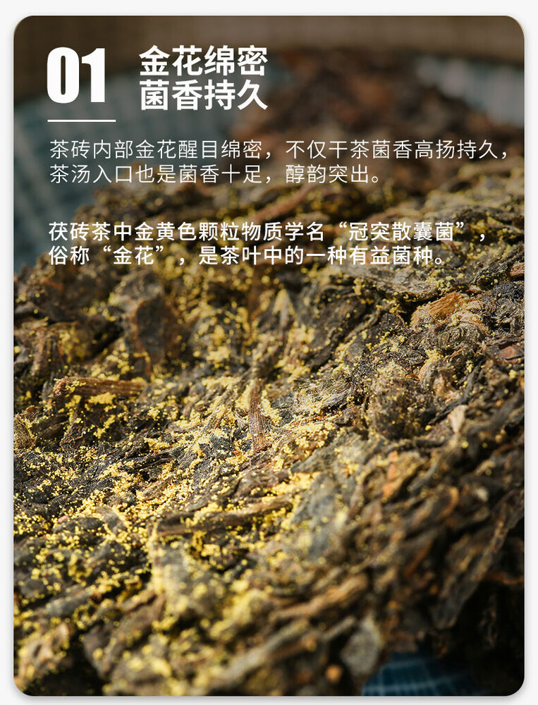 CHINATEA Brand MM Hunan Anhua Golden Flowers Fucha Dark Tea 360g Brick Fu Zhuan