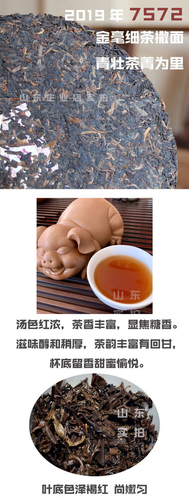 2019 Dayi Taetea Classic 7572 Menghai Pu'er Pu-erh Tea Cake Ripe Puer 357g