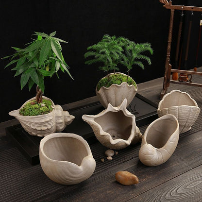 Flower Pot White Pottery Shell Shaped Succulent Plant Holder 21.5x11.5cm Ceramic