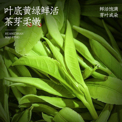 Natural Huangshan Maofeng Tea Green Tea Mingqian New Tea Buds Gift Box