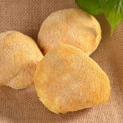 Gutian Hericium Edible Mushroom Bulk High Quality Hot New古田猴头菇食用菌 散装猴头菇 250g
