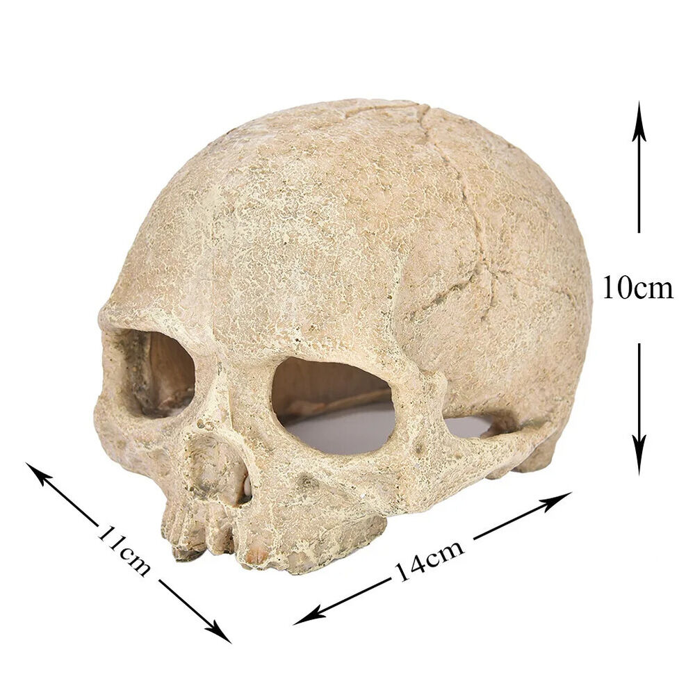 Simulation Head Skeleton Aquarium Resin Decorations Skull Bone Reptile Hide Cave