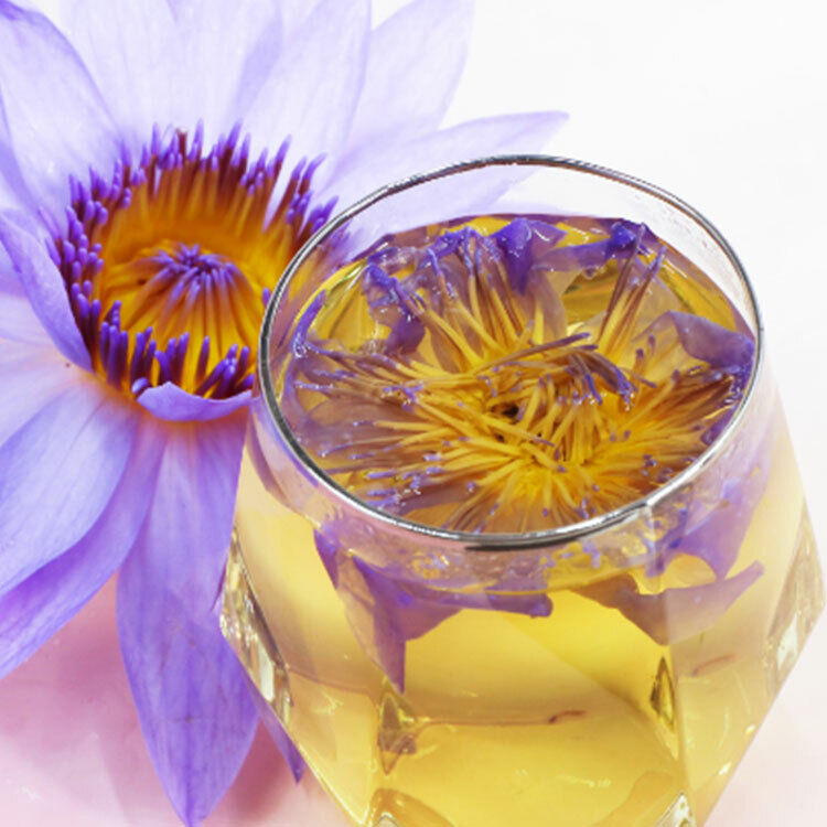 2023 Dried Loose Blue Lotus Flower Herbal Tea Nymphaea Caerulea Savigny 50g