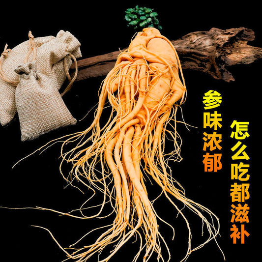 1pc Changbai Mountain Ginseng Large Fresh-preserved Ginseng 9-year-old Root