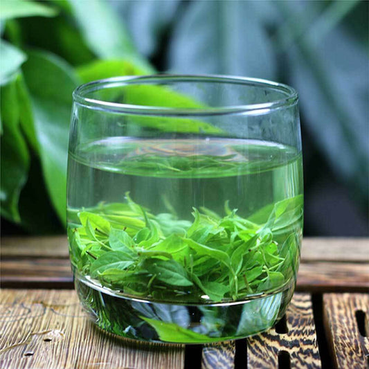 Hainan Herbal Bitter Tea Natural Small Leaf Kuding Tea Personal Health Care