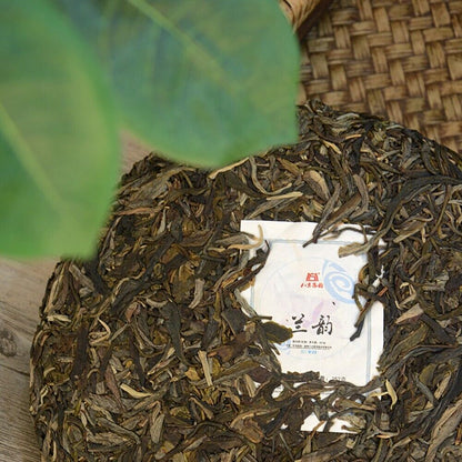 Pu 'er tea, 2021, Lanyun Yun Lan, 357 grams, raw.
