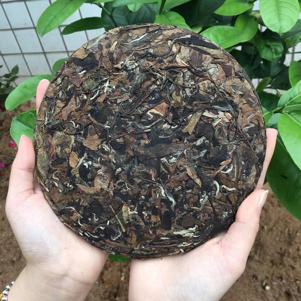 357g Fuding White Tea Cake Old Tree Natural White Tea Organic Gongmei White Tea