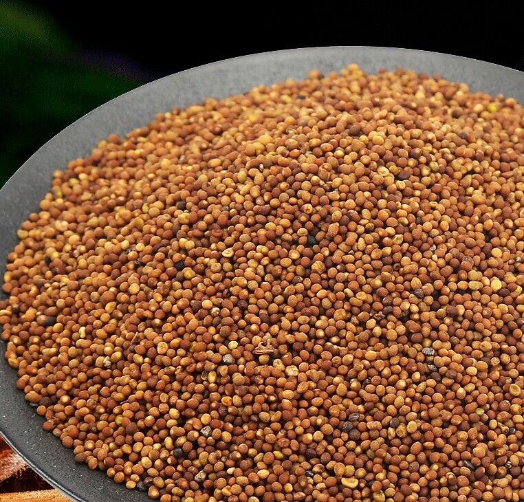 100% Natural Trunk Seed Tu Si Zi * Chinese Herbal Tea-