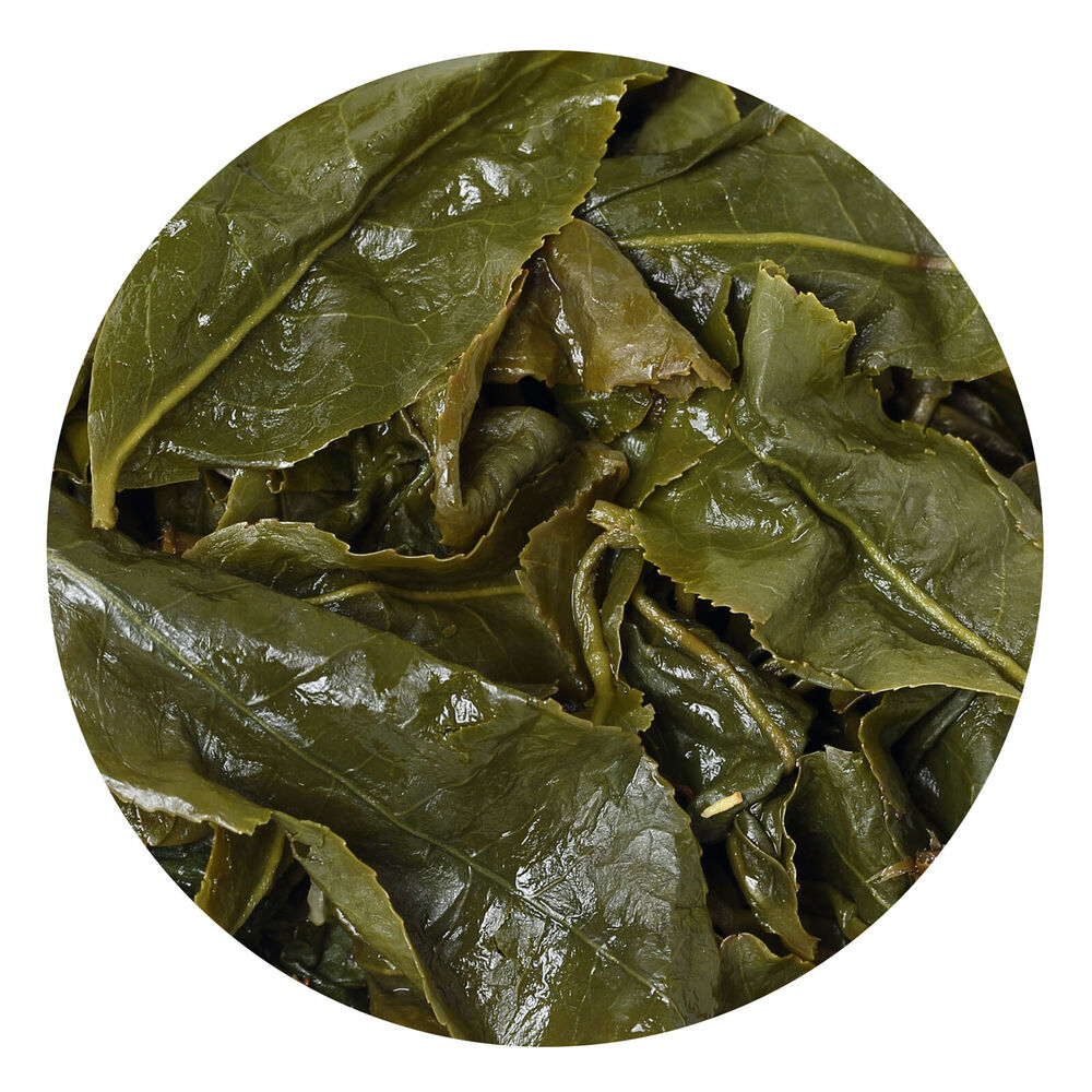 Premium Taiwan Milk Oolong Tea Jinxuan Alishan High Mountain Leaf