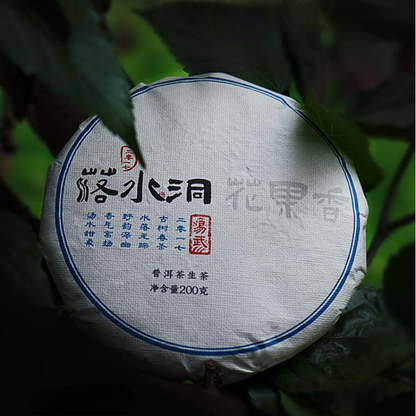 Pu-erh Shengcha Natural Pu'er Green Tea 200g Yiwu Puerh Tea Cake Luoshuidong