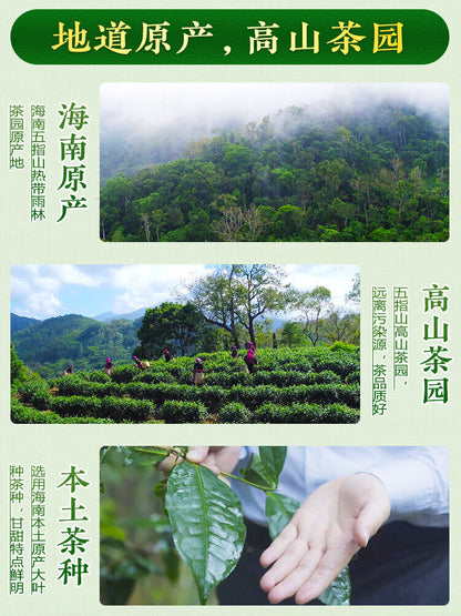 Premium Hainan Ginseng Oolong Tea Lan Gui Ren Queen Orchid High Mount Tea 250g