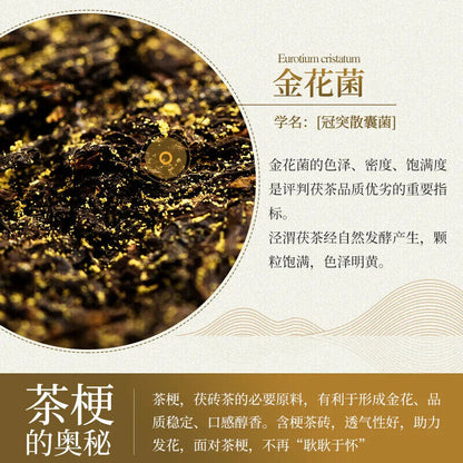 Shanxi black tea Fu tea 陕西七子茯茶砖 泾渭茯茶 黑茶 金花泾阳茯砖茶 357g 养胃/助消化