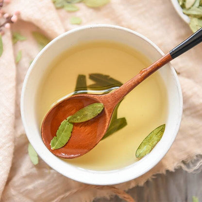 Organic Folium Sennae Dried Herb Senna Alexandrina Makes A Healthy Tea