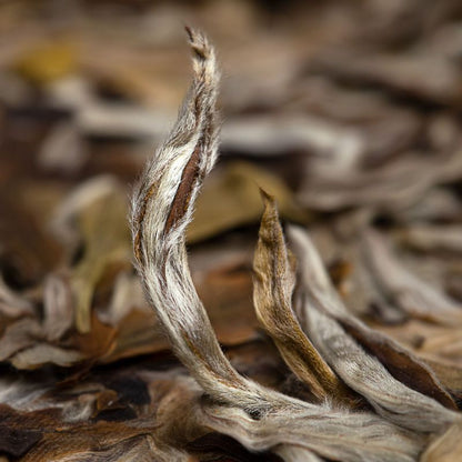 5-year-old Old White Tea GongMei Natural Sun-dried Tea Tribute Eyebrow Tea Cake